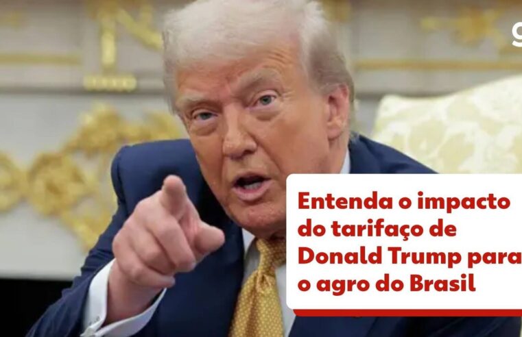 Fusão entre Marfrig e BRF é aprovada e cria uma das maiores empresas de alimentos do mundo