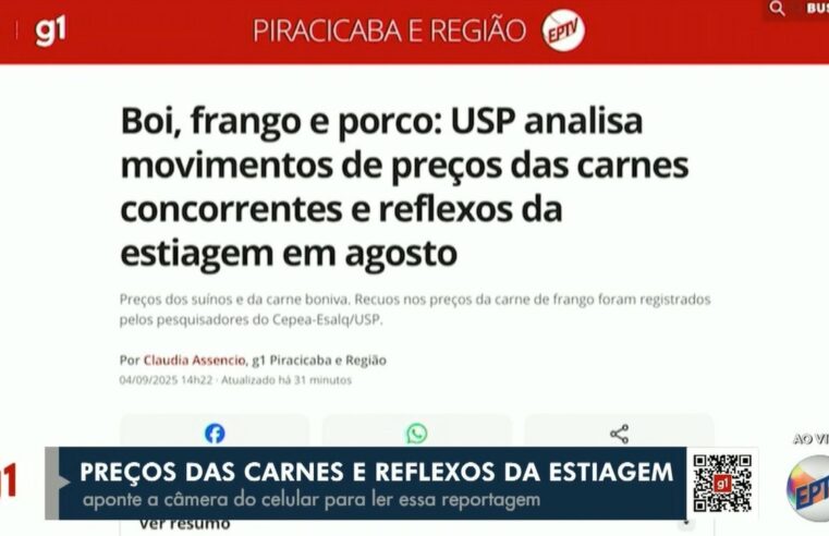 Exportação brasileira de carne de porco cresce em 2025; vejas principais destinos dos embarques