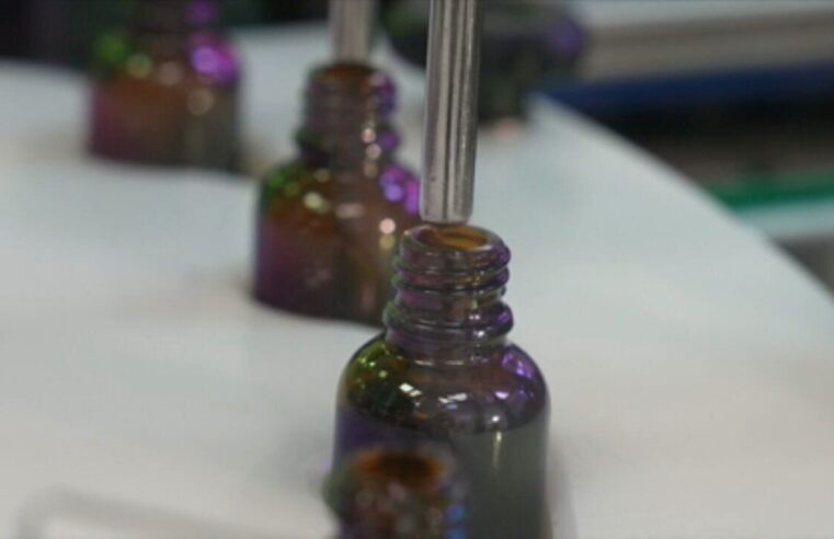 'Perdi o contato com a minha família': preconceito com uso medicinal de maconha dificulta tratamentos e pesquisa no Brasil