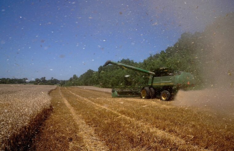 'Calamidade': fazendeiros dos EUA enfrentam crise após tarifaço e pedem ajuda ao governo