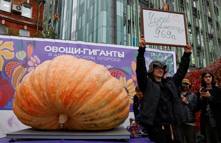 VÍDEO: abóbora gigante de quase 1 tonelada é erguida por guindaste em festival na Rússia