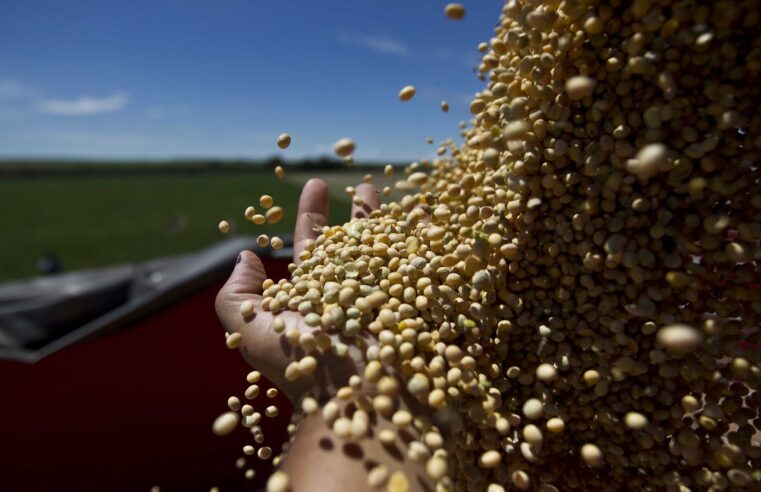 Haddad culpa juros altos e abuso da lei