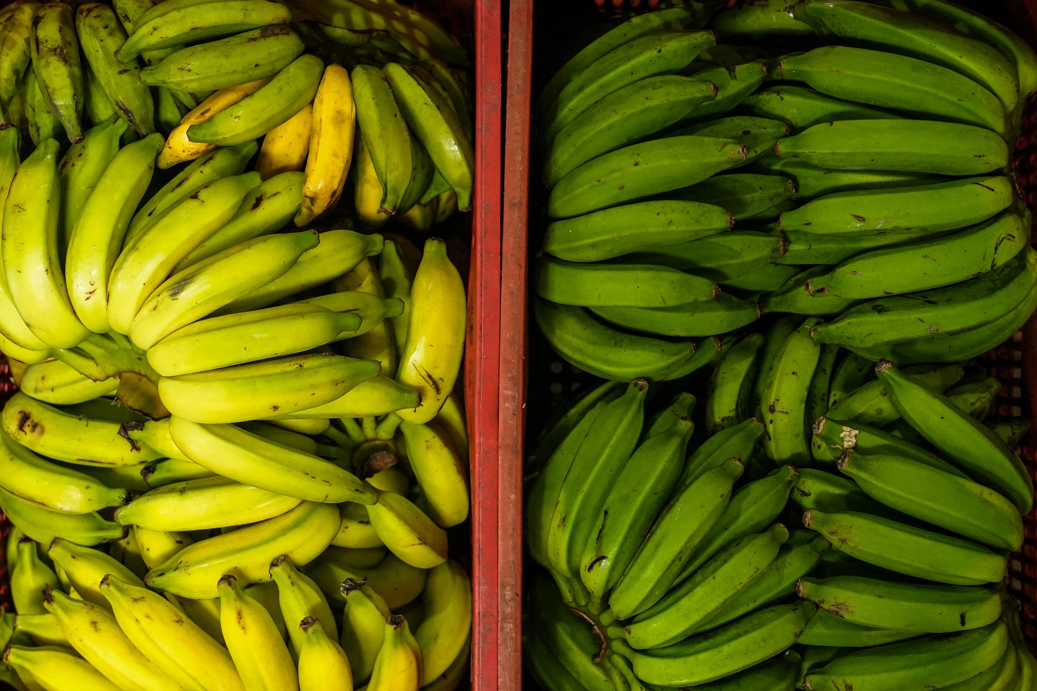 Do soteco à moqueca, banana é protagonista na mesa e economia do ES
