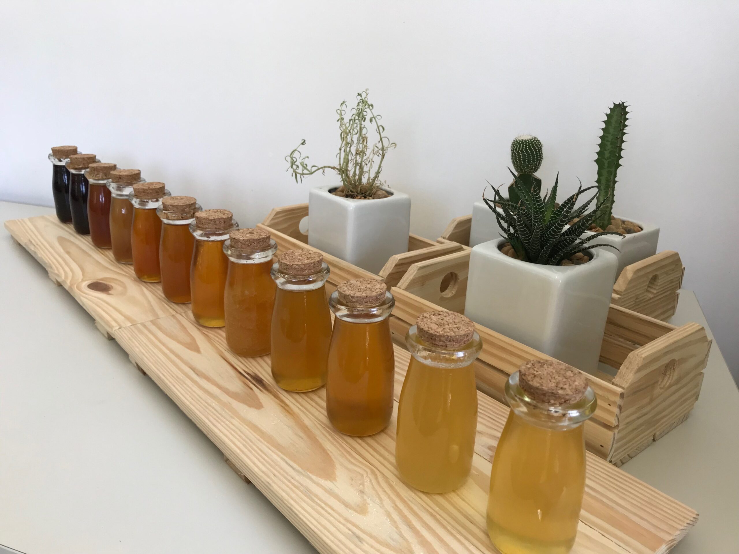 conheça os principais tipos feitos no Brasil e por que alguns custam até R$ 600