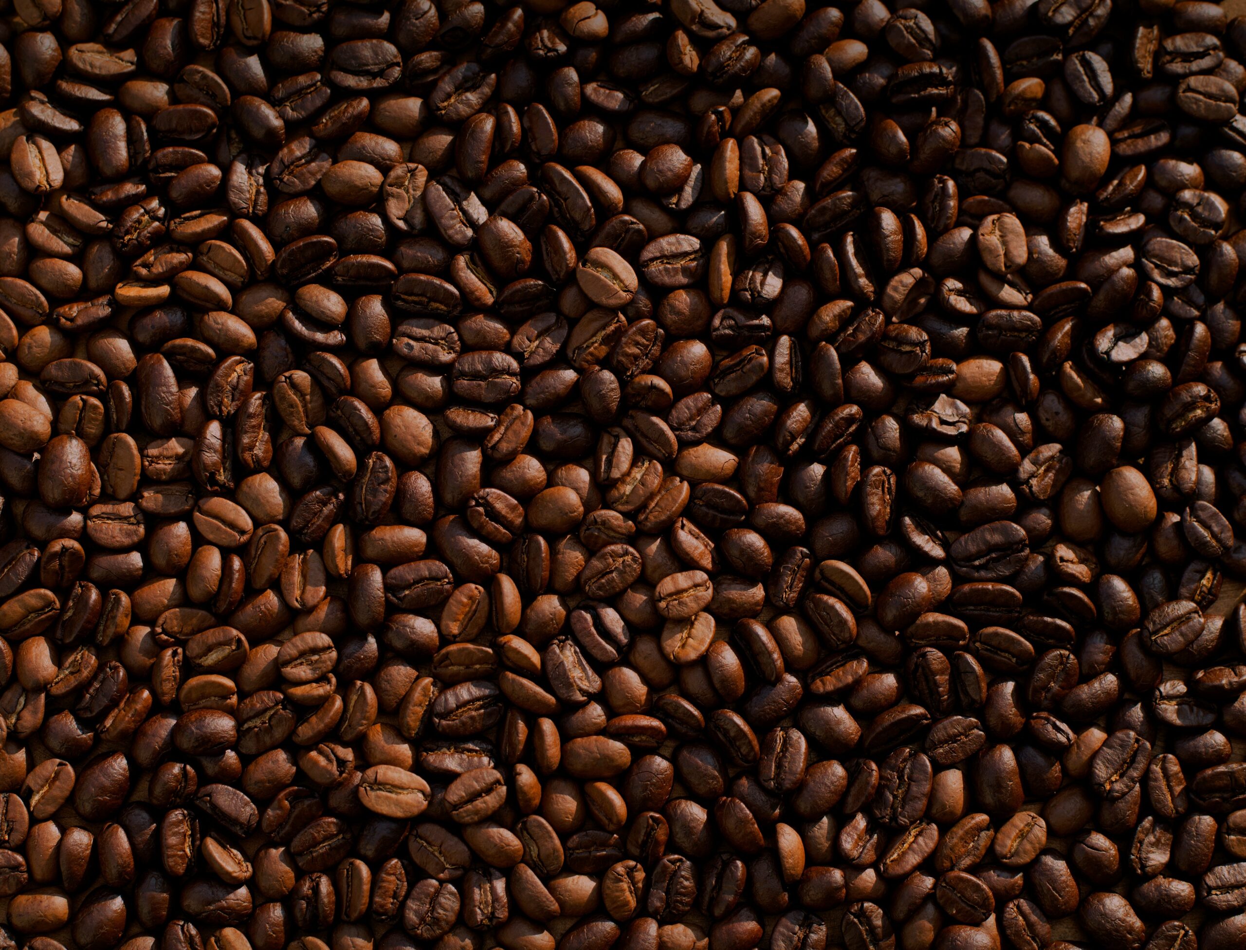 Exportações de café especial e solúvel do Brasil aos EUA despencam após tarifaço, dizem entidades