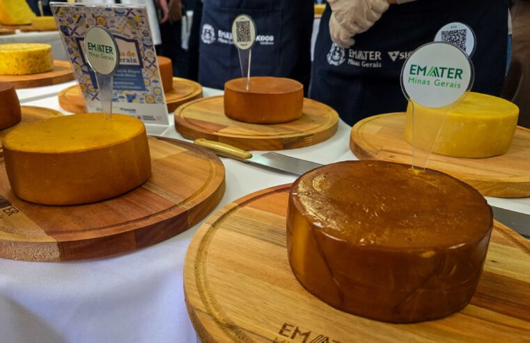Queijos artesanais de Aiuruoca, Araxá, Itamonte e São Roque são eleitos os melhores de MG