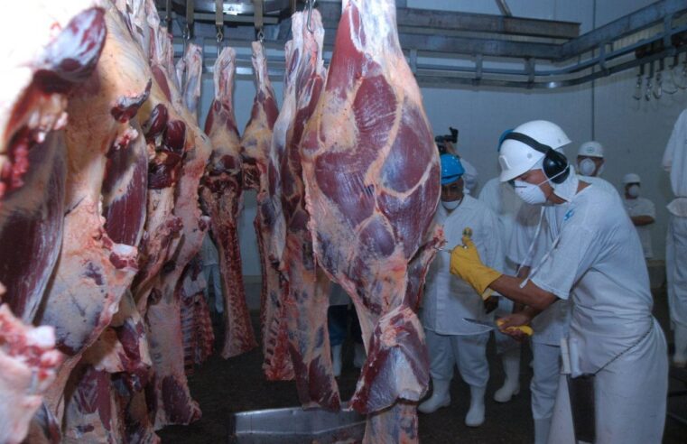 Mesmo com tarifaço, exportação de carne bovina do Brasil bate novo recorde em setembro