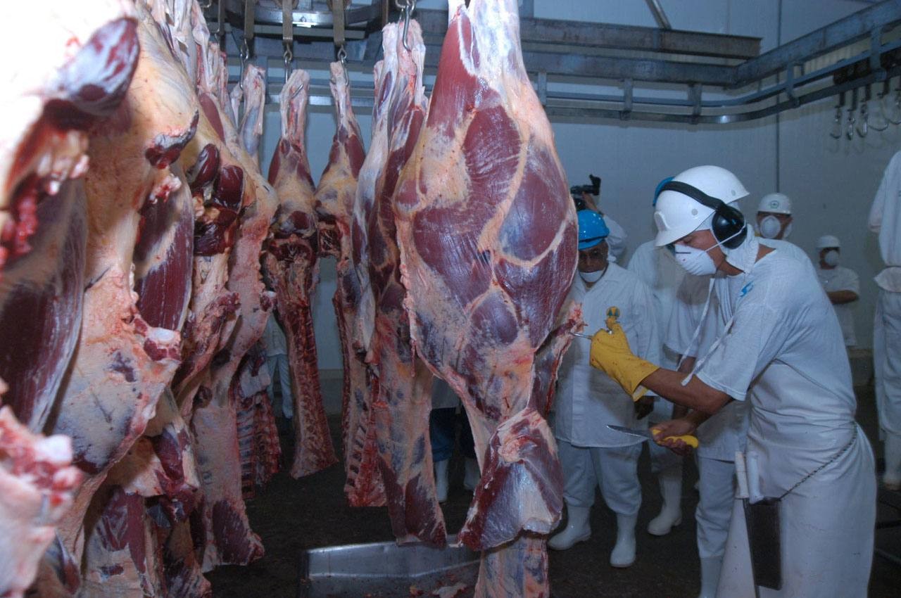 Mesmo com tarifaço, exportação de carne bovina do Brasil bate novo recorde em setembro