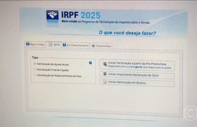 quase 1,3 milhão de declarações ainda estão na malha fina do leão