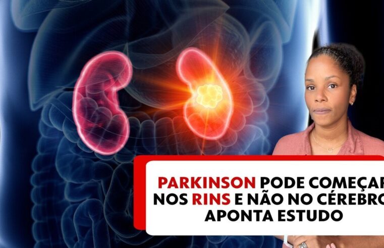 Descubra o que é a nova economia do cérebro