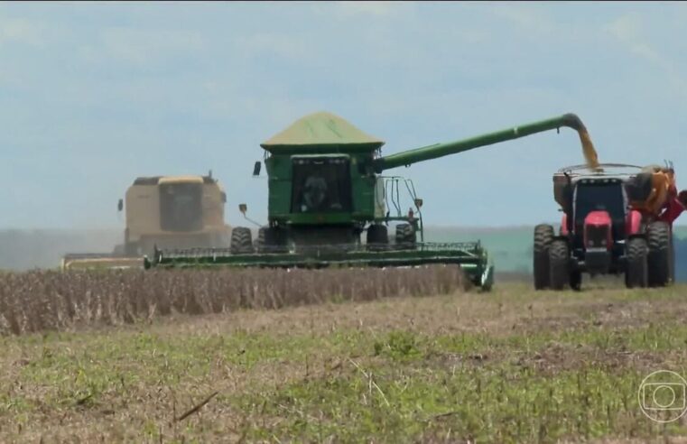 'Efeito China': aproximação com o gigante asiático pode enfraquecer a indústria no Brasil?