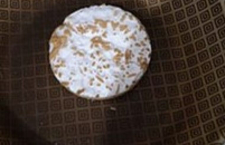 Trocaria carne por fungo? Pesquisa mostra que 'novo alimento' pode ser alternativa no futuro