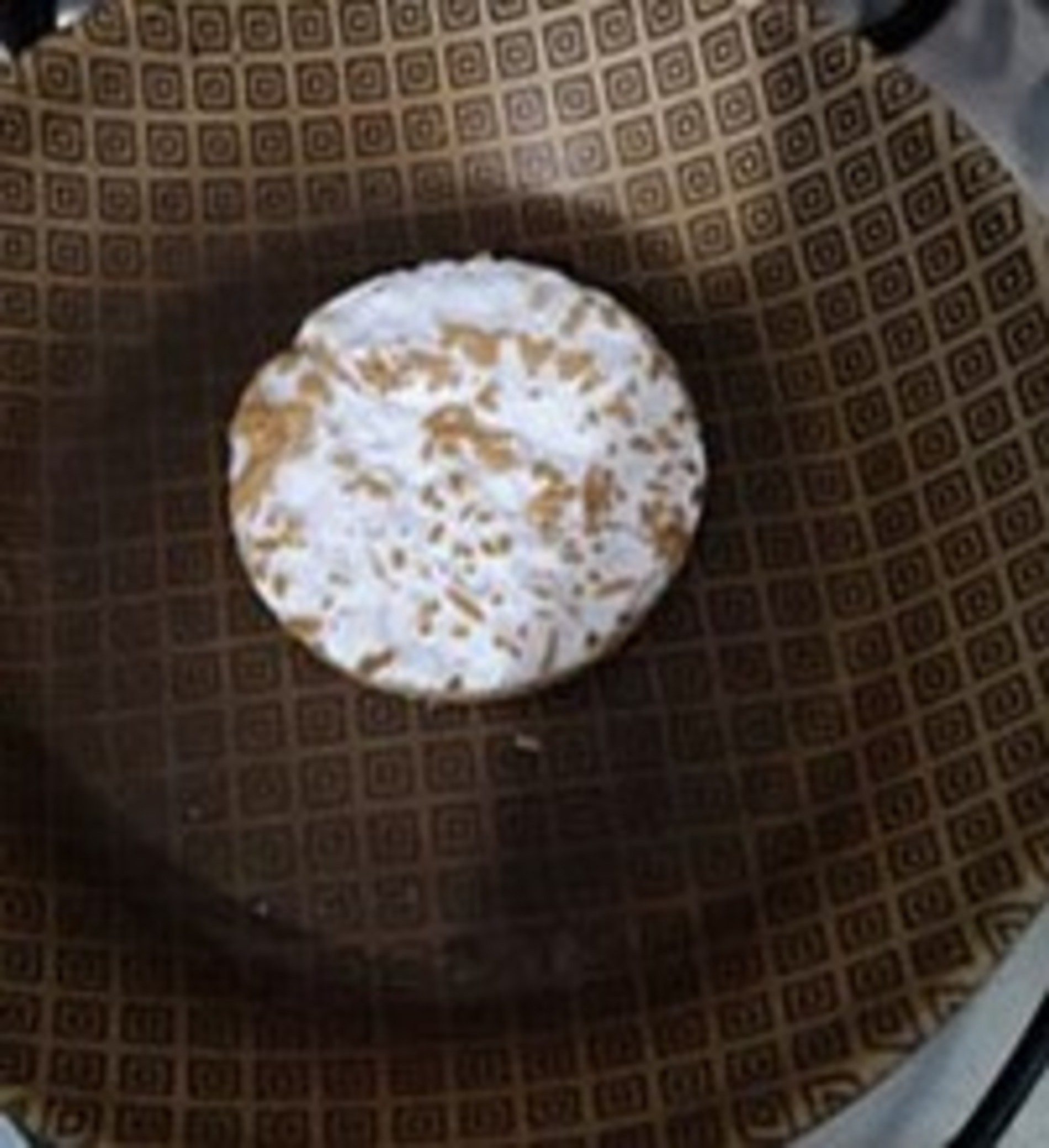 Trocaria carne por fungo? Pesquisa mostra que 'novo alimento' pode ser alternativa no futuro