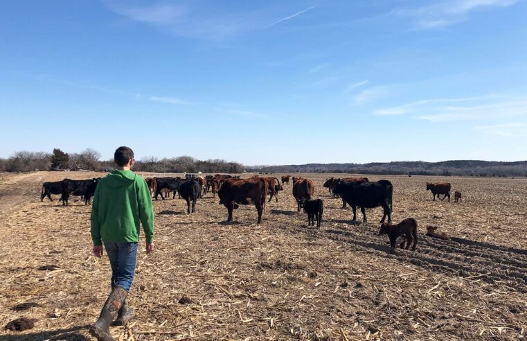 Plano de Trump para importar carne argentina irrita fazendeiros dos EUA