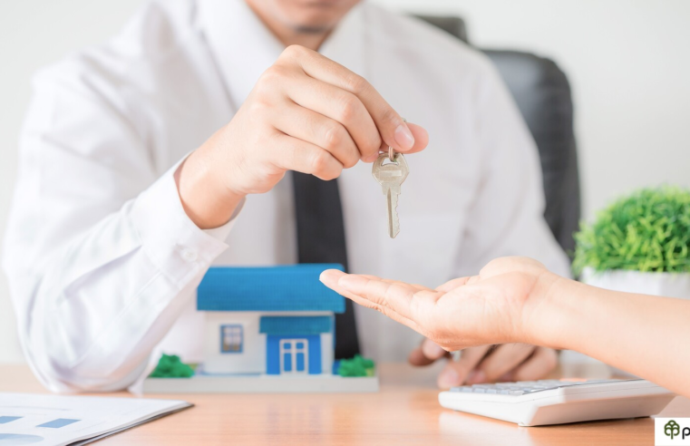 programa de crédito do governo para reforma da casa começa hoje; veja como entrar