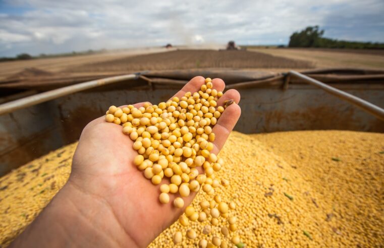 Com preferência chinesa à soja do Brasil do que a dos EUA, vendas batem recorde anual já em outubro, diz setor