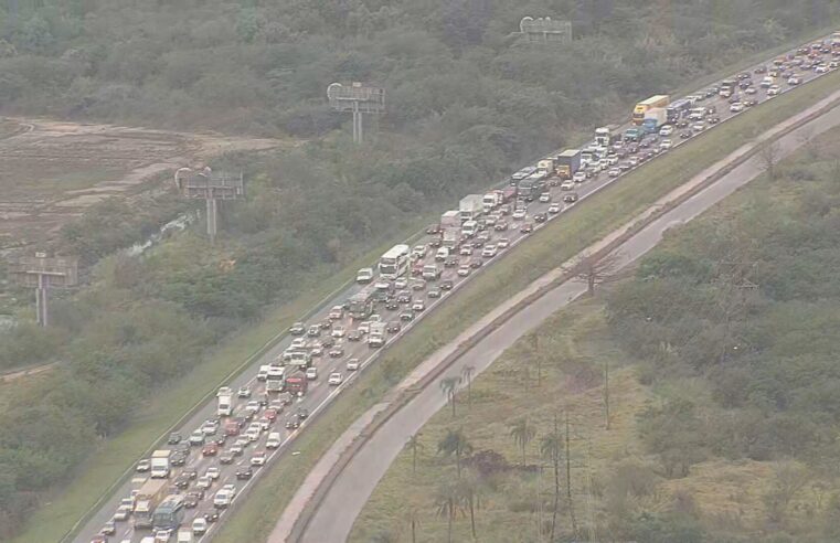 Carro, ônibus e caminhada são os principais meios para ir ao trabalho