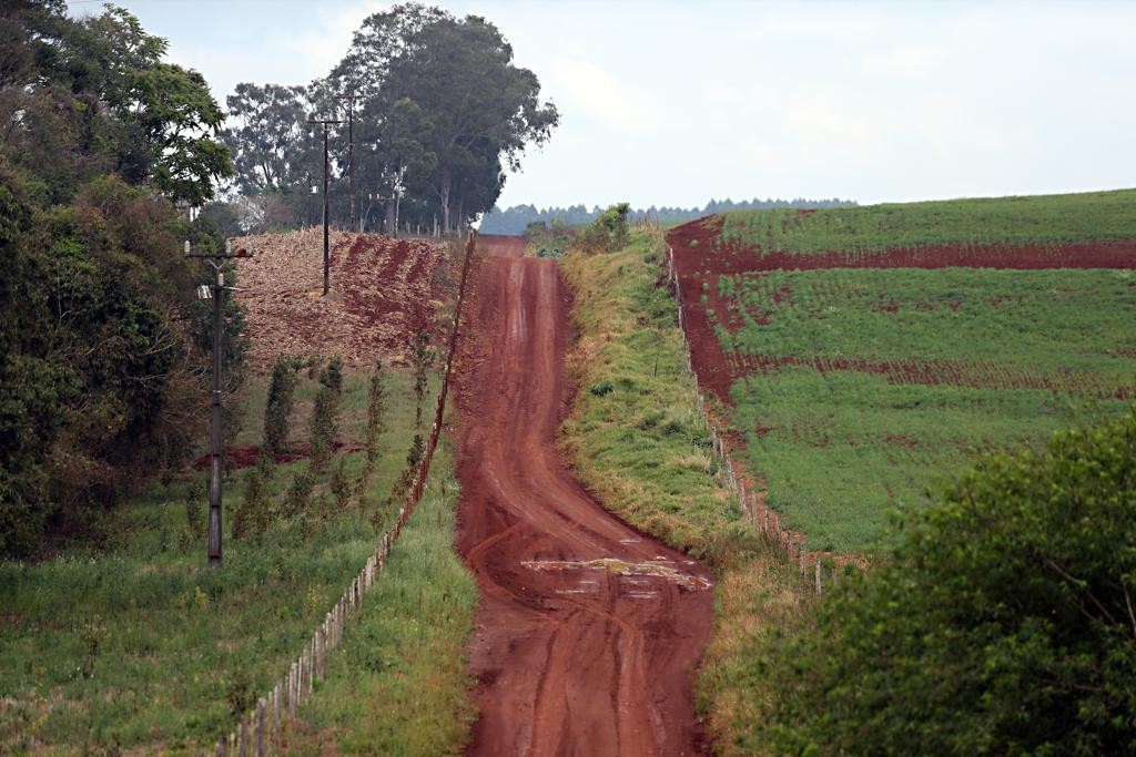 Agro ganharia R$ 6,4 bilhões ao ano com melhores estradas rurais