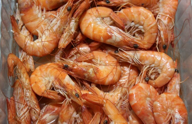 Compra de camarões radioativos pelos EUA: Indonésia reforça controles em áreas produtivas após detecção