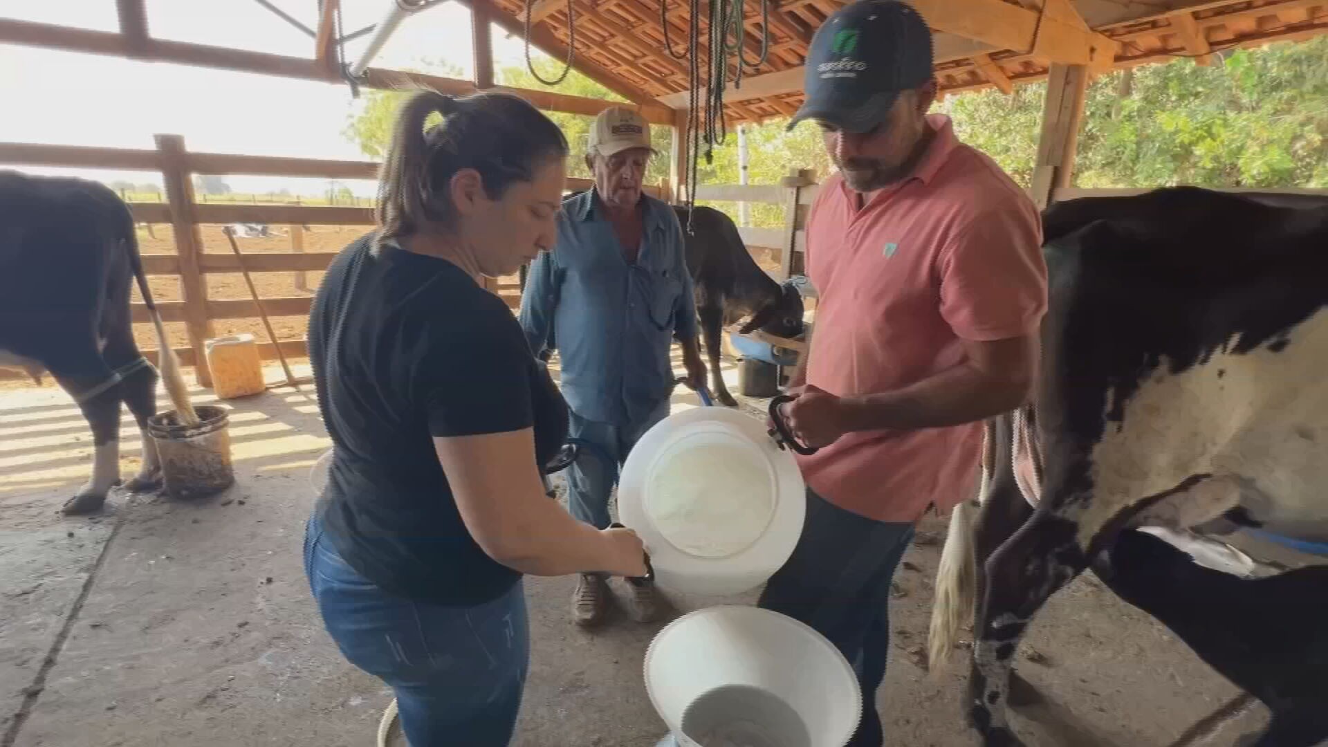 Os desafios dos pequenos produtores de leite para aumentar a lucratividade
