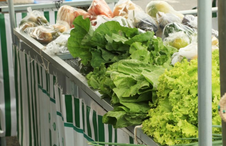 Verduras e legumes não são a mesma coisa; veja as diferenças e como plantar