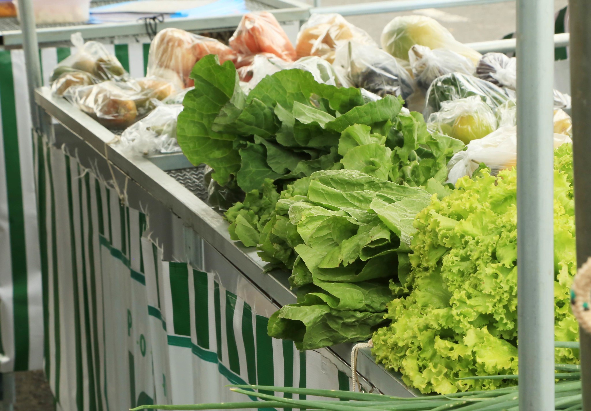 Verduras e legumes não são a mesma coisa; veja as diferenças e como plantar