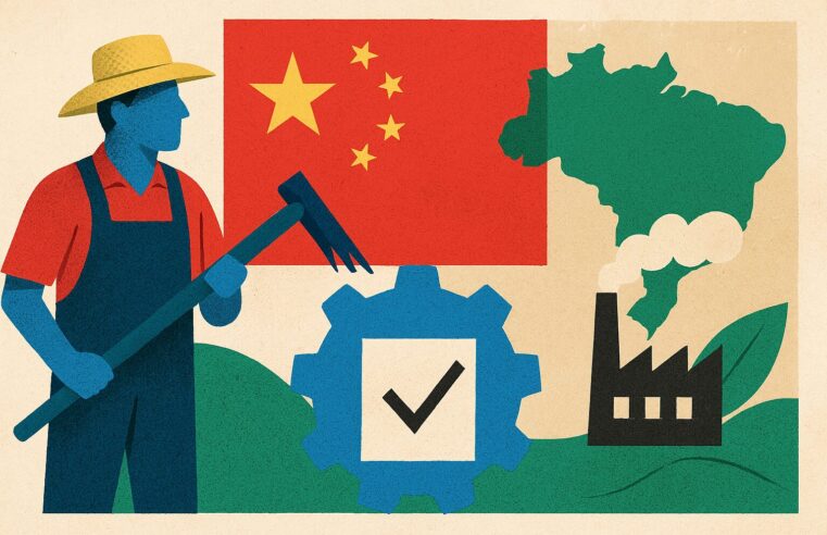 MST faz parcerias com a China para fortalecer agricultura familiar