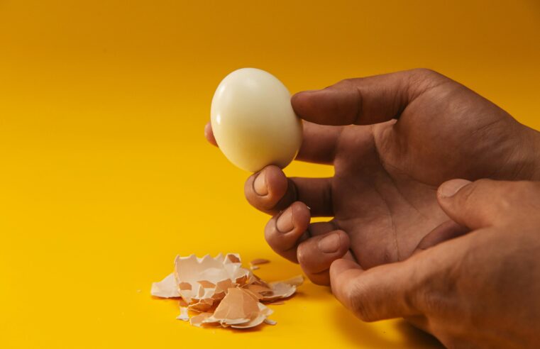 Dia do Ovo: Brasil produz 305 ovos por habitante; veja principais cidades produtoras