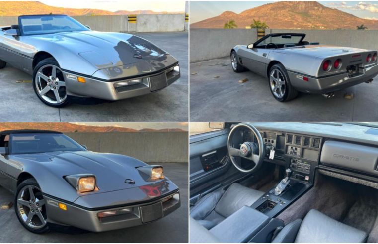 Leilão de carros clássicos tem Fusca mais barato que iPhone e Corvette igual ao de Michael Jordan; veja como participar