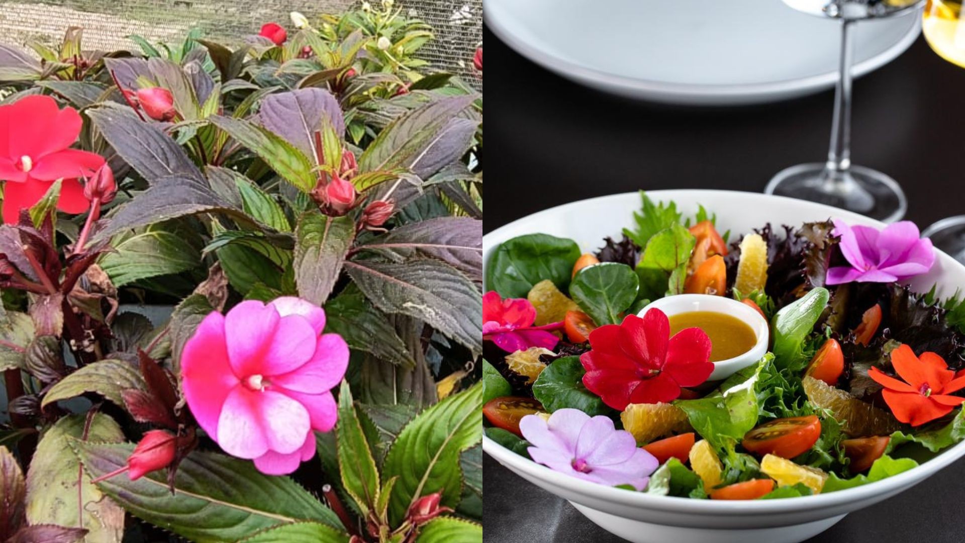 queridinhas na cozinha, produtora foca em variedades