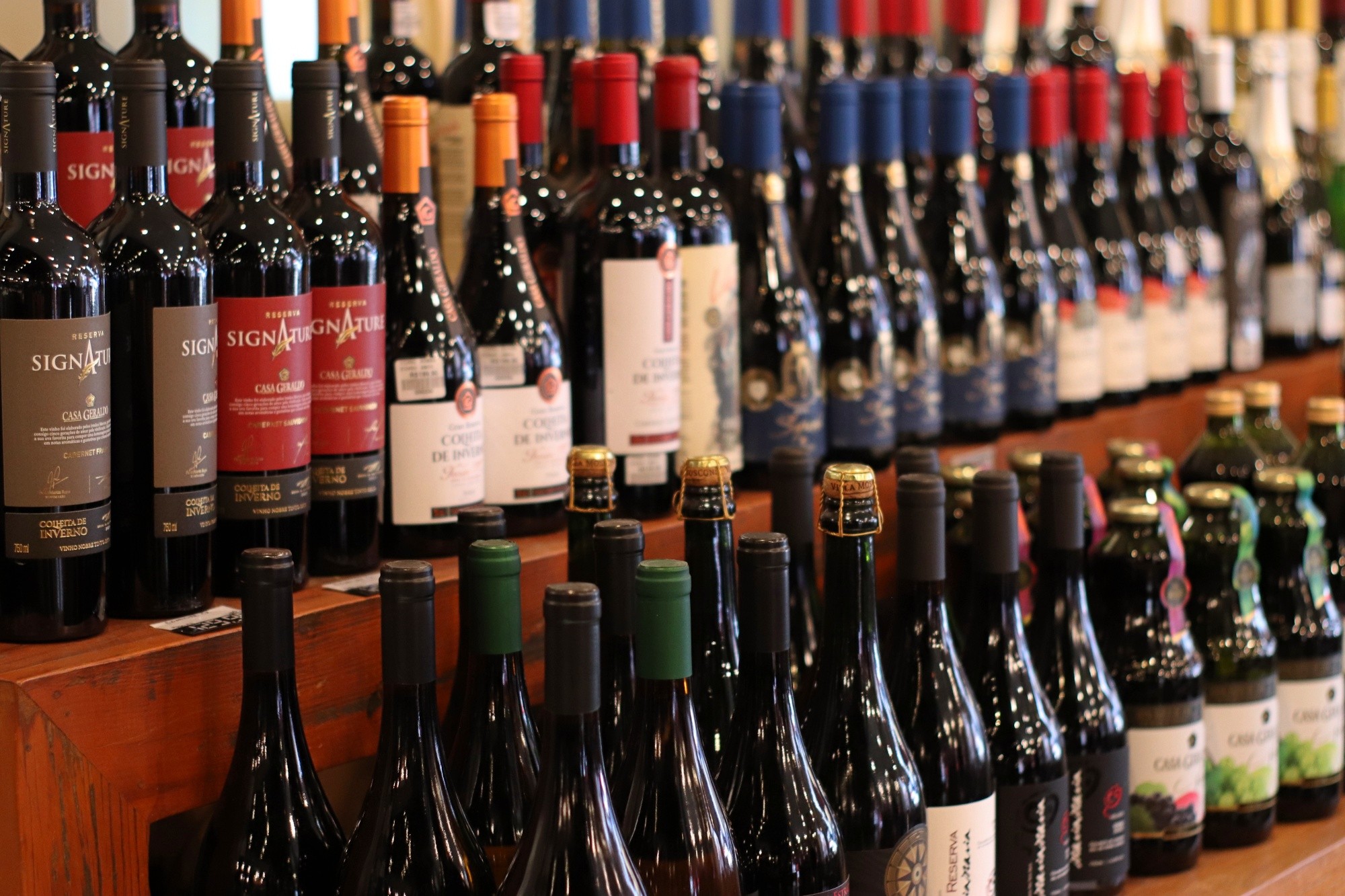 Brasil compra mais vinho do Chile e compensa impacto do tarifaço para exportadores do país vizinho