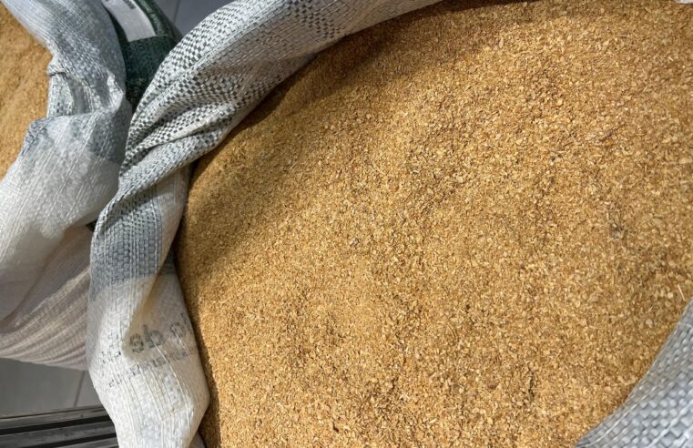 Porco: produtor de SP atinge maior poder de compra de farelo de soja em 20 anos, aponta Esalq-USP