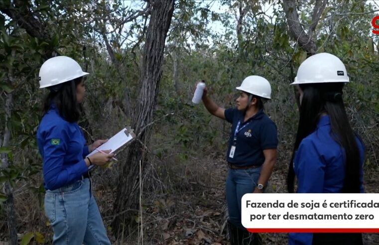 Como é possível combinar agro e desmatamento zero