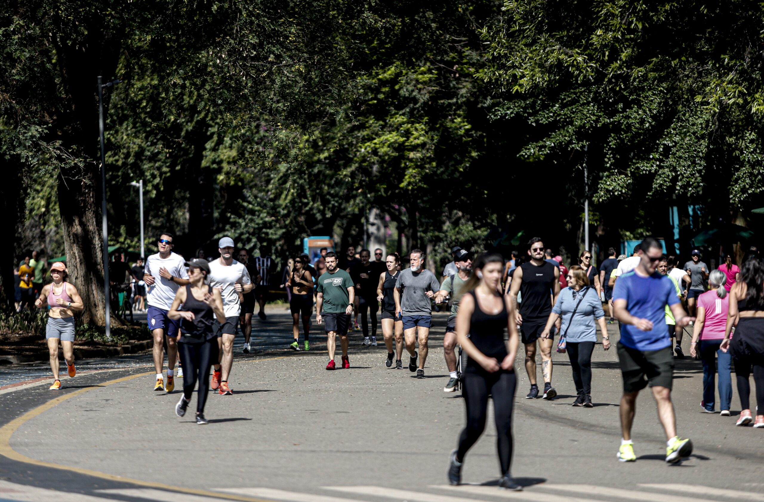Veja os nomes e sobrenomes mais populares do Brasil, segundo o Censo