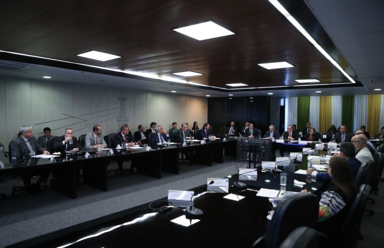 CNPE deve discutir criação de grupo para estruturar fundo nacional de transição energética