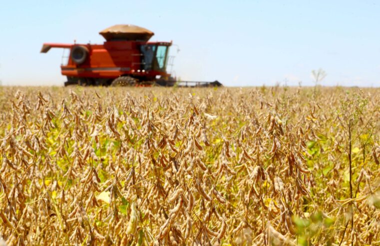 Moratória da Soja: STF suspende todas as ações até julgamento final sobre o pacto