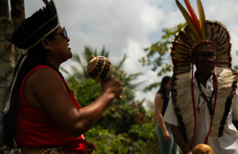 ‘Pensava que não tinha como conseguir’