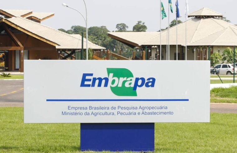 Embrapa revolucionou agricultura brasileira, diz pesquisa dos EUA