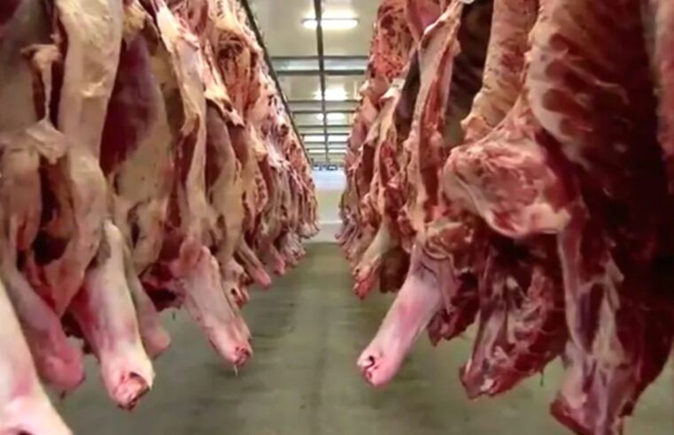 Tarifaço de Trump: fim da taxação de 40% nos EUA deve normalizar exportações de café e carne em MS