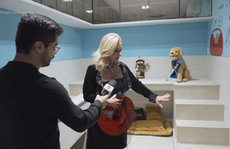 Piscina cinematográfica, suíte para pets, cinema de shopping: veja o que há de luxo em mansões milionárias à venda no Brasil; VÍDEO