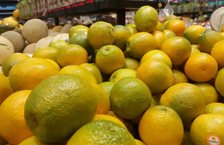 Laranja: entenda por que preço pago pela indústria no mercado brasileiro caiu em novembro