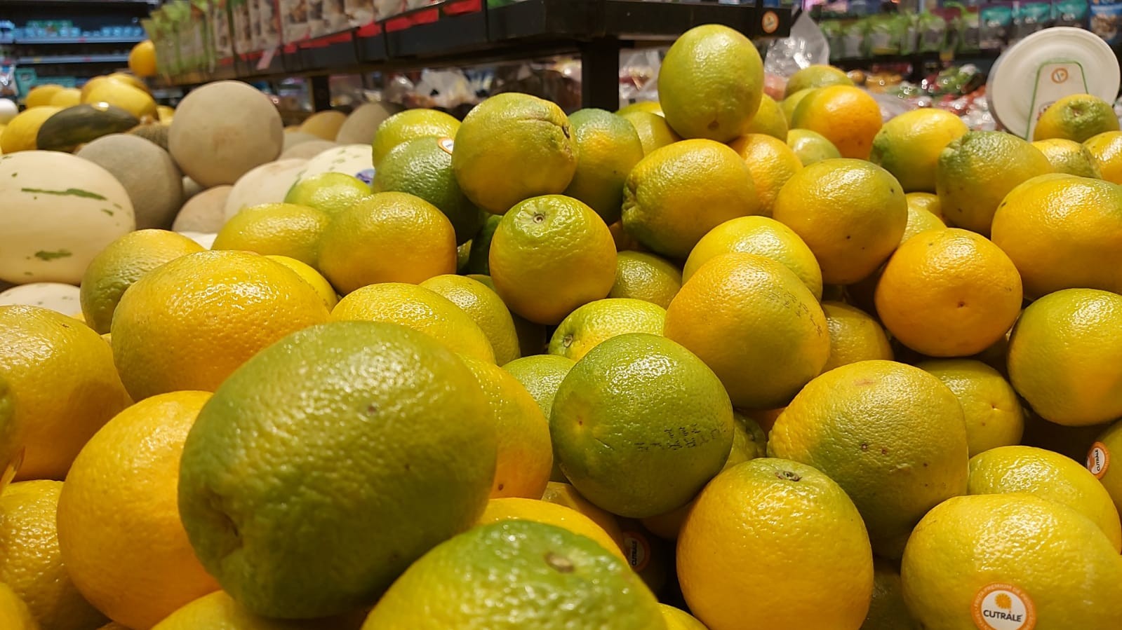 Laranja: entenda por que preço pago pela indústria no mercado brasileiro caiu em novembro