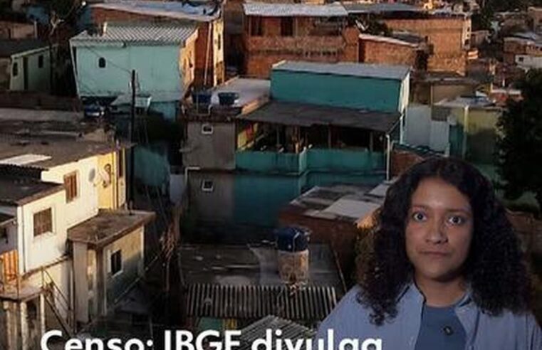 Censo 2022: 64% dos moradores de favelas vivem em vias sem árvores