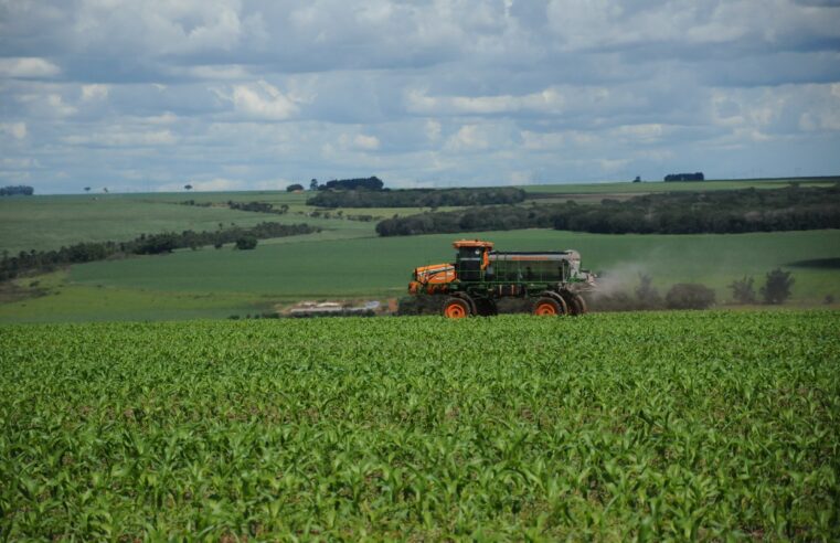 Brasil bate recorde em exportações de soja e amendoim para a China