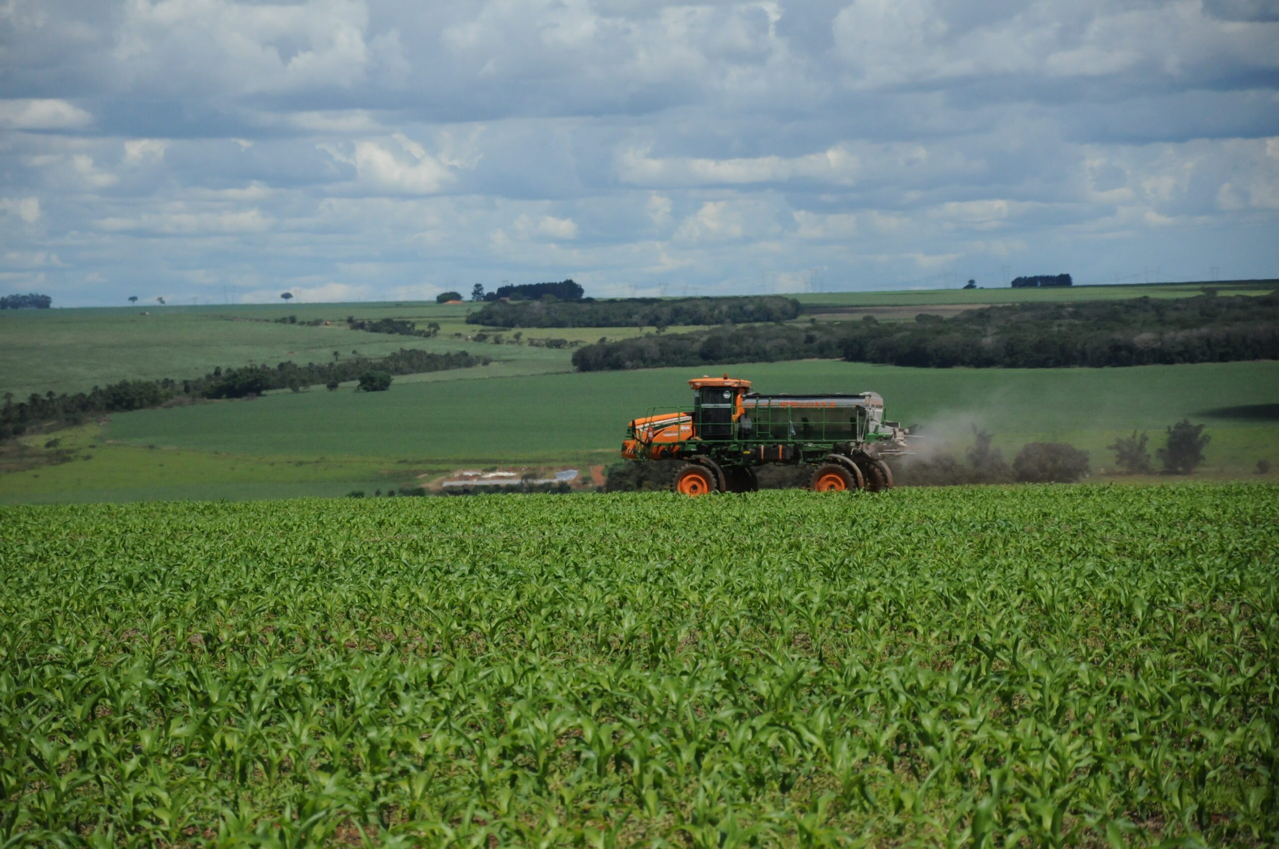 Brasil bate recorde em exportações de soja e amendoim para a China