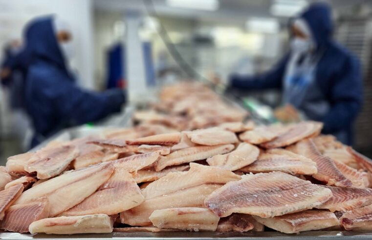 Quase metade das exportações do agro segue com tarifaço nos EUA