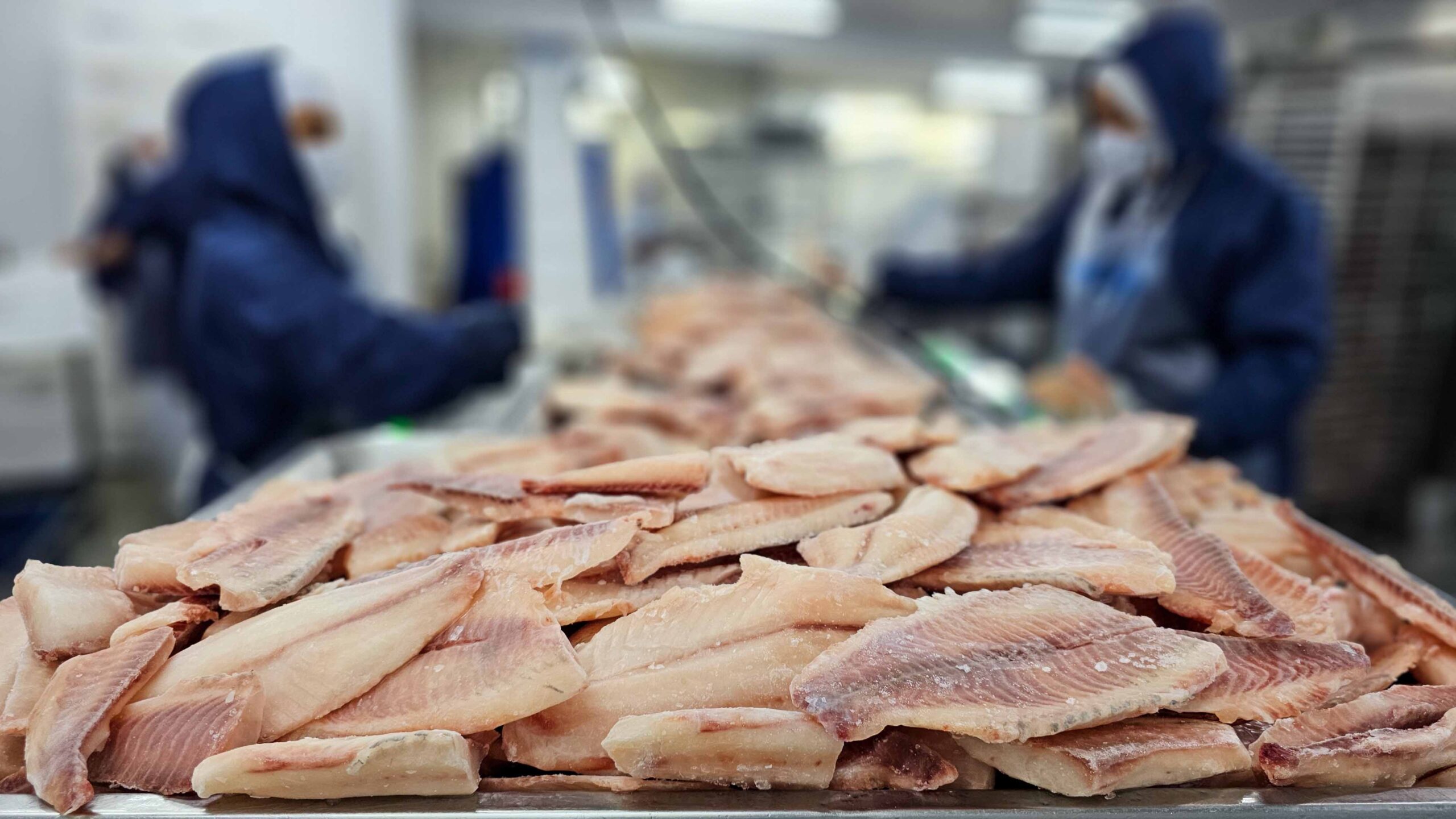 Quase metade das exportações do agro segue com tarifaço nos EUA